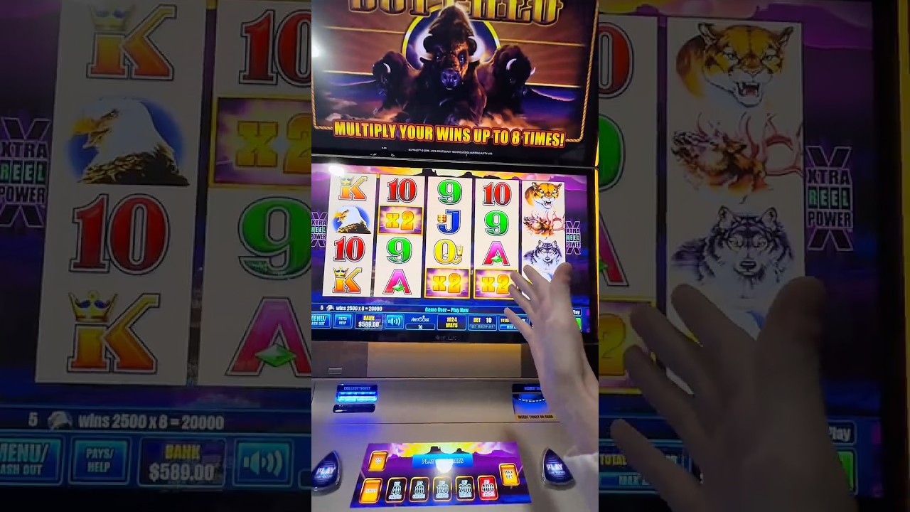 This Slot Machine Bonus Kept Adding More Free Spins!!!
