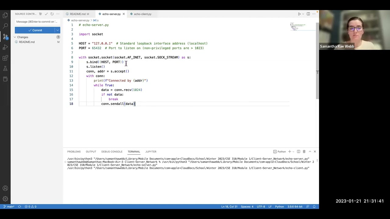 Client-Server Network Demo