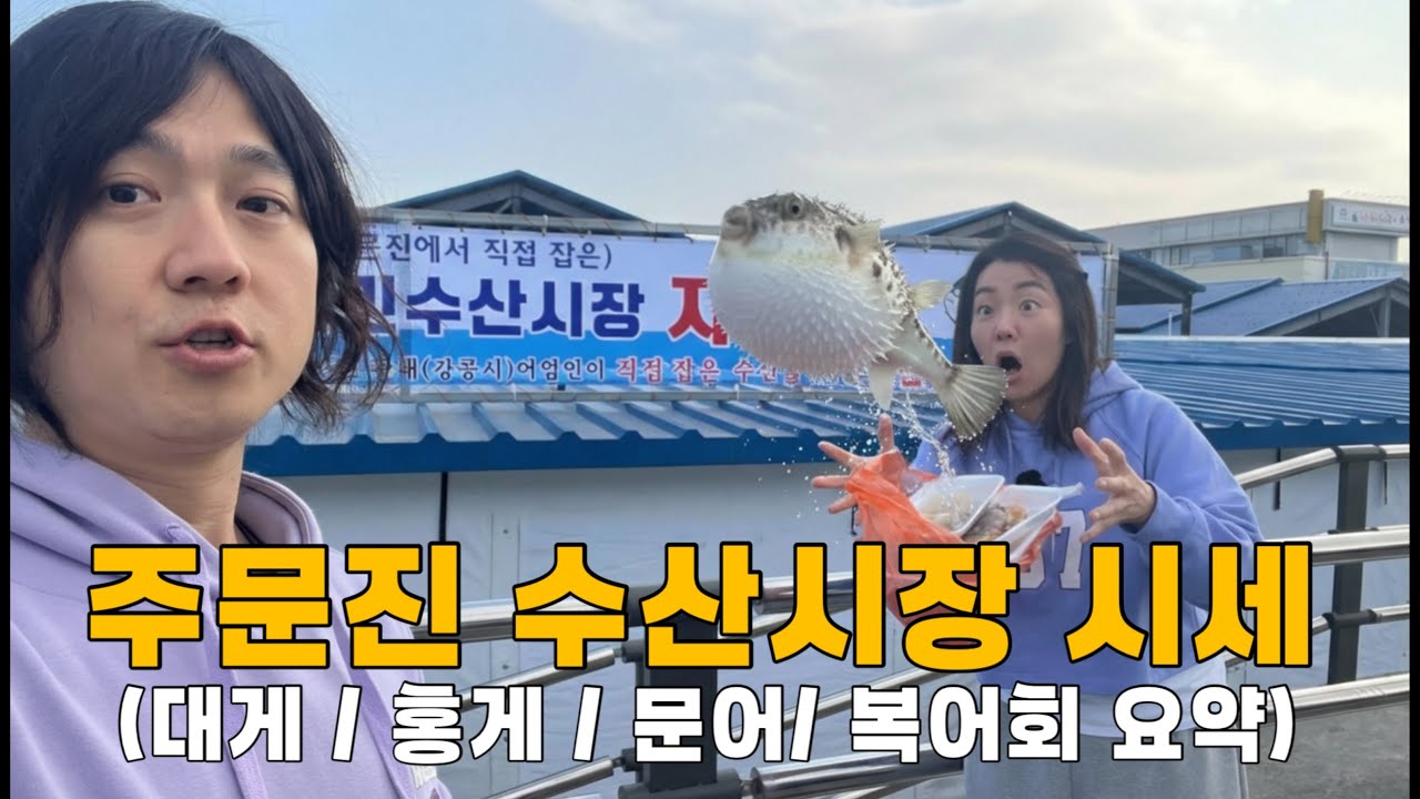 26년 1월 기준, 주문진 수산시장 시세 요약해드려요. (홍게,대게,문어,복어회)