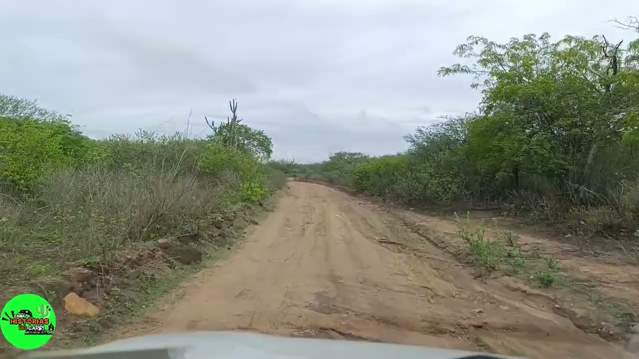 O CARIRI PARAIBANO VOLTA A CHOVER, A CAATINGA JÁ MOSTRA SUAS BELEZAS.