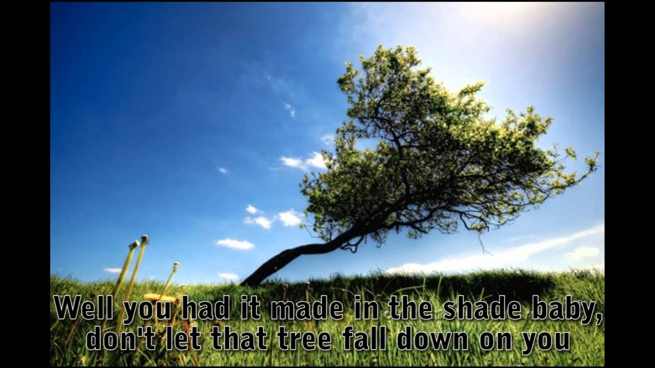 Lynyrd Skynyrd - Made In the Shade (w/ lyrics)