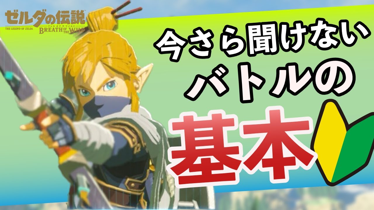 【初心者向け】バトル基本講座【ブレスオブザワイルド】
