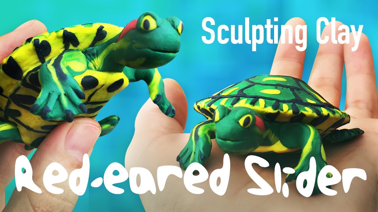Sculpting a 🐢🔴 RED-EARED Slider in clay | Step by Step Process