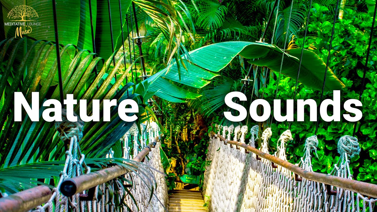 Расслабляющая музыка и звуки природы для засыпания - Звуки тропического леса (Тайна)