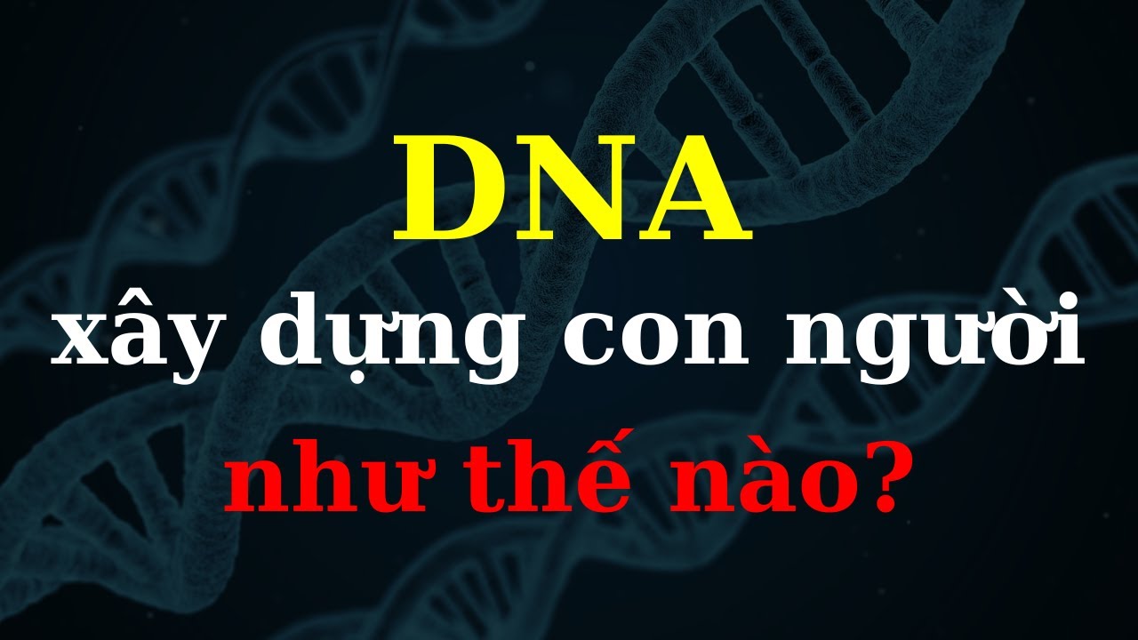 DNA l&agrave; g&igrave;? - Sinh Học - tập 11 | Tri thức nh&acirc;n loại