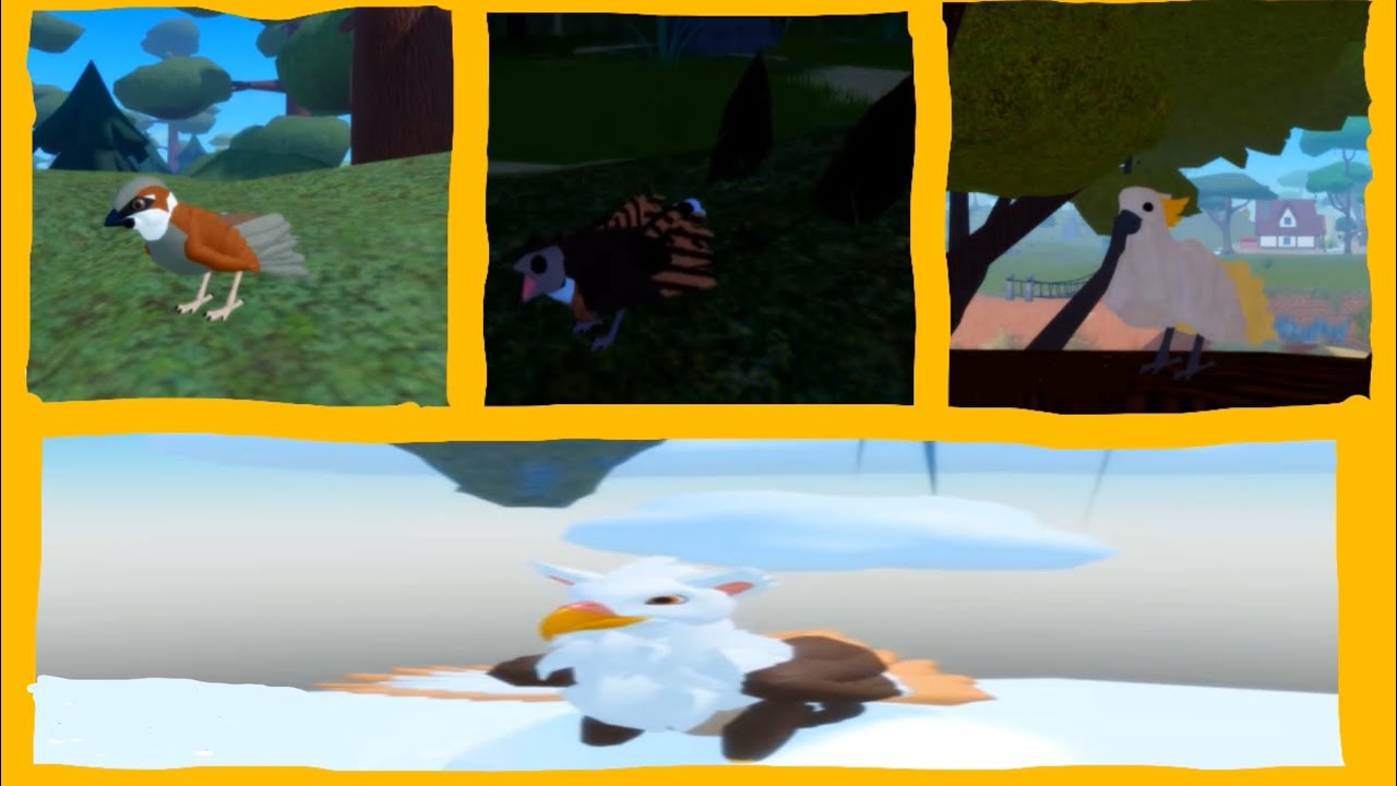 All birds calls from Feather Family (as of January 2026)