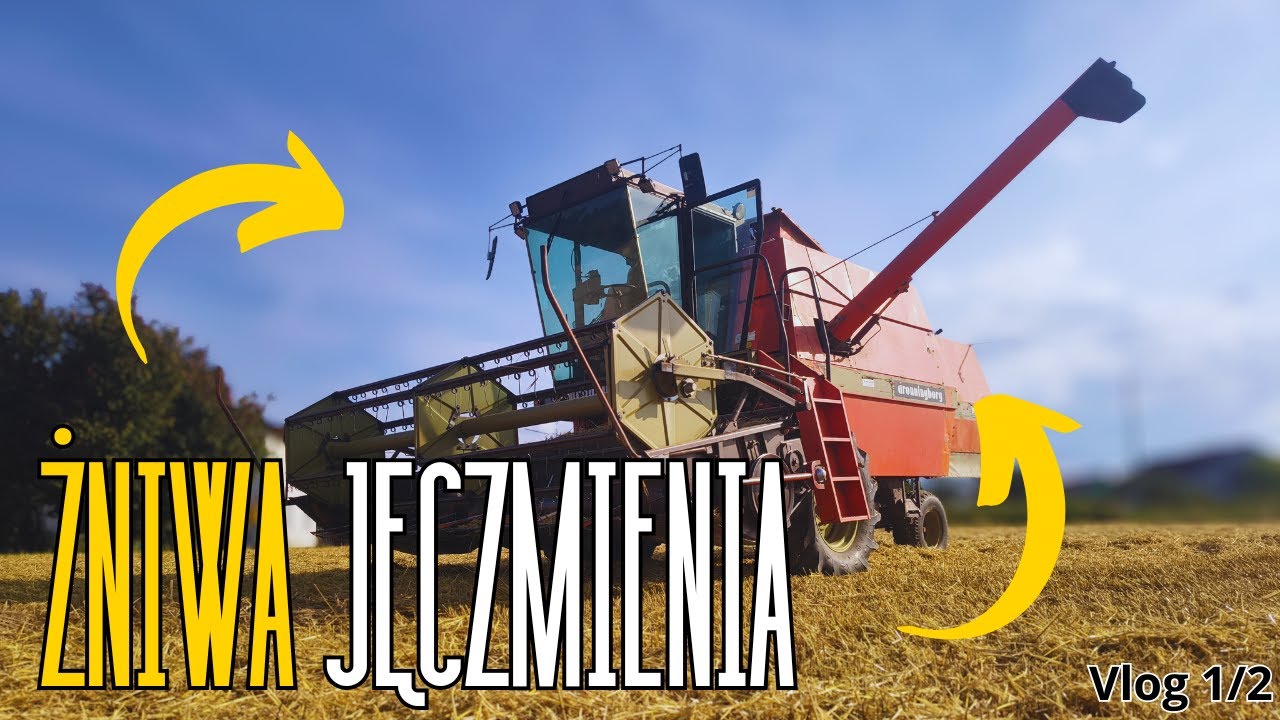 Żniwa jęczmienia ozimego 2025 🚜🌾(1/2)