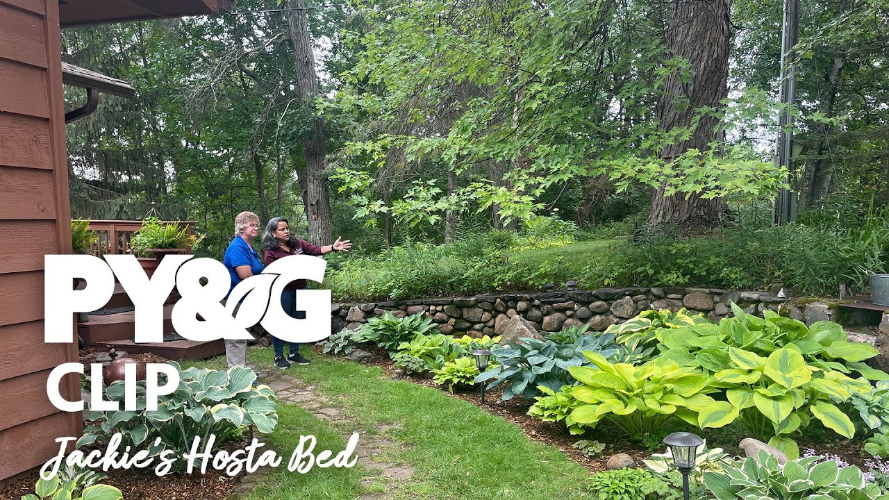 Jackie's Hosta Bed | Selecting and Growing Hostas | Prairie Yard & Garden 3703
