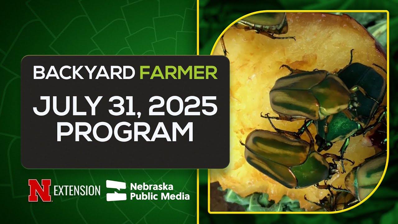 Midseason Garden Care and Insect Identification | Backyard Farmer July 31, 2025