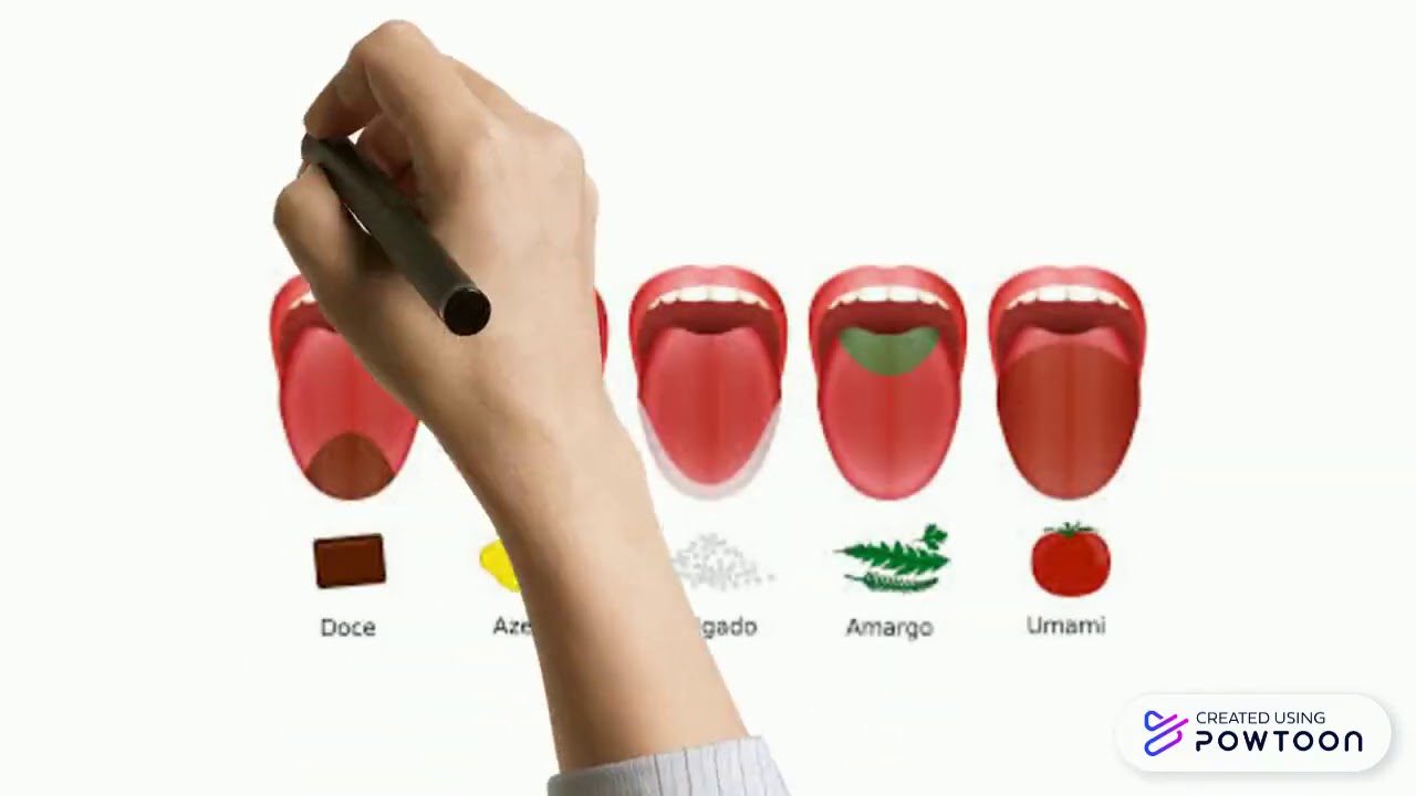 Percep&ccedil;&atilde;o do olfato- bulbo olfat&oacute;rio