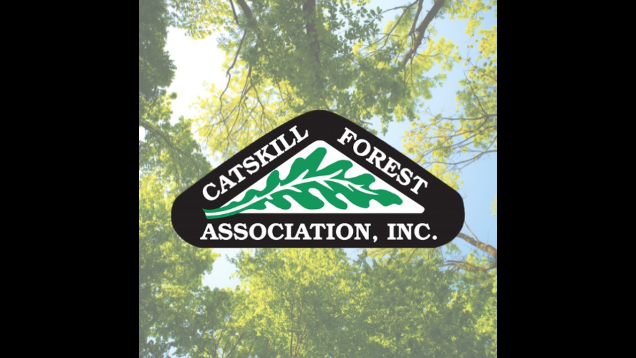 Rooted in the Catskills: Tree Advice from the CFA