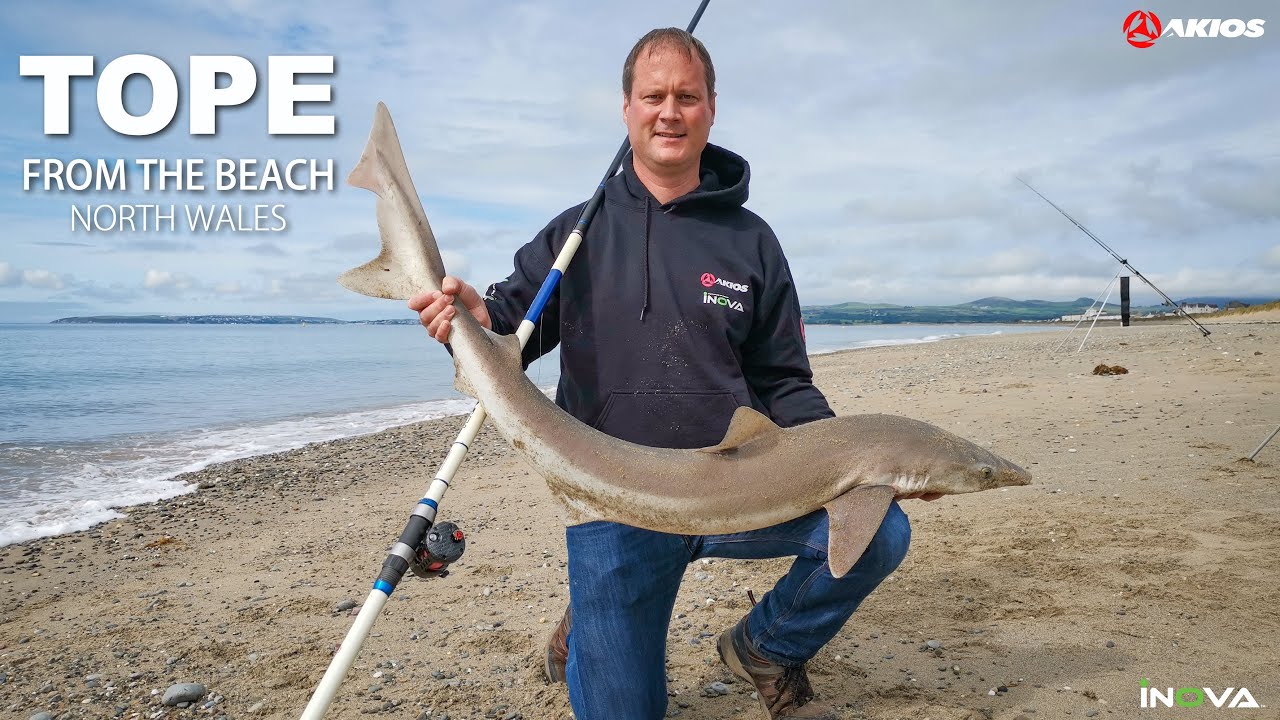 Akios AIRPOWER & NITRON F-15 vs 30lb Tope from a North Wales Beach