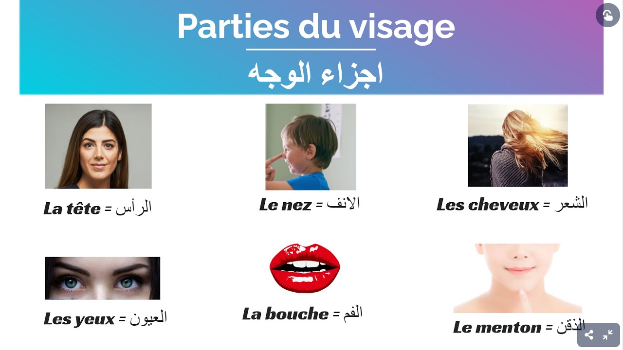 Apprendre la langue française : les parties du visage  =   تعلم اللغة الفرنسية : اجزاء الوجه