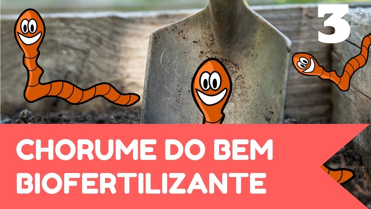 Tudo sobre Minhocário 03 - Chorume