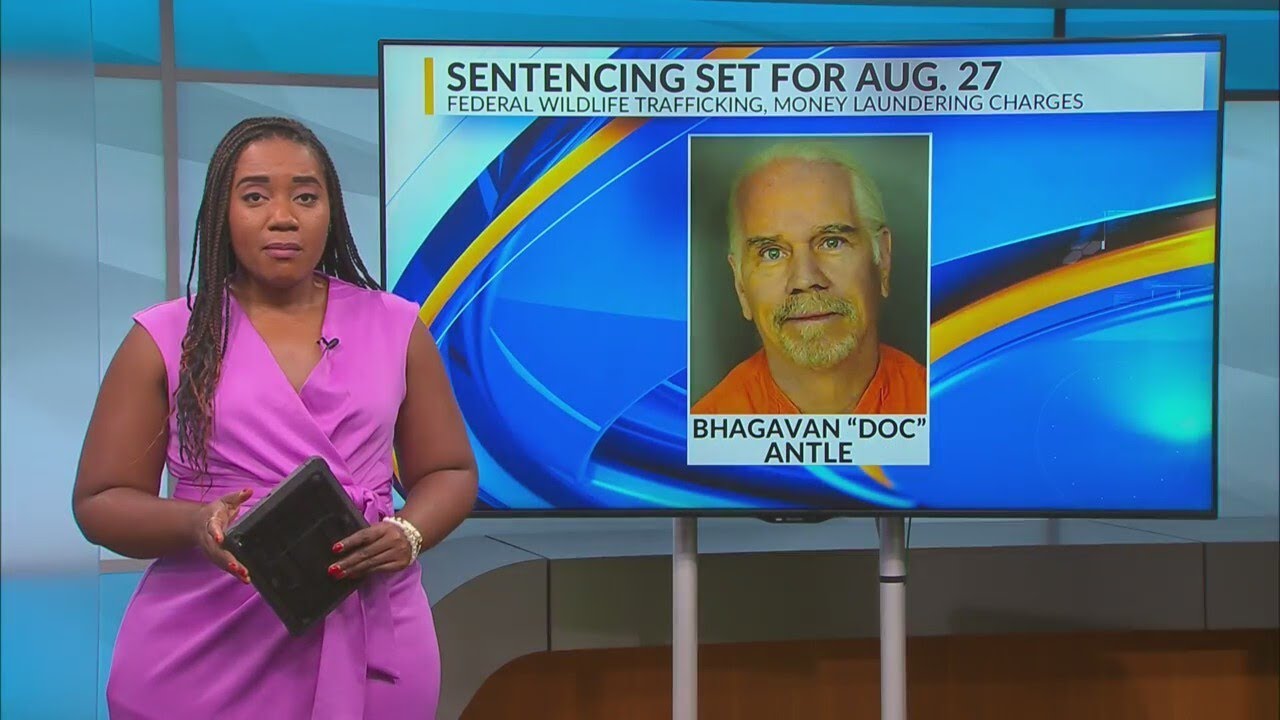 Former &lsquo;Tiger King&rsquo; star, Myrtle Beach Safari owner to be sentenced on federal conspiracy, money lau