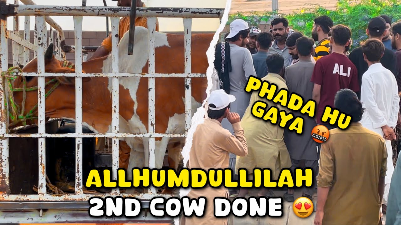 Allhumdullilah 2nd Qurbani ka janwar bhi le lia 😍 l Qurbani 2k25 l Faizi Kay vlogs