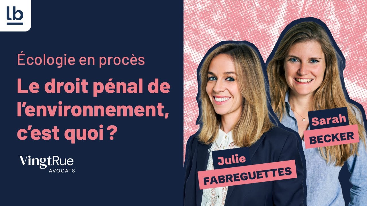 [Écologie en procès] Le droit pénal de l'environnement, c'est quoi ?