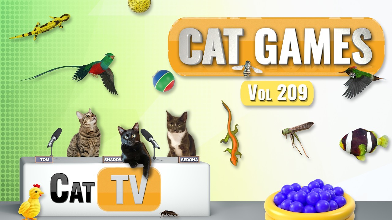 Игры с котами | Подборка лучших кошачьих телепередач, том 209 | 8 часов 🐝🐞🦋🦎🦜🐜🐭🧵