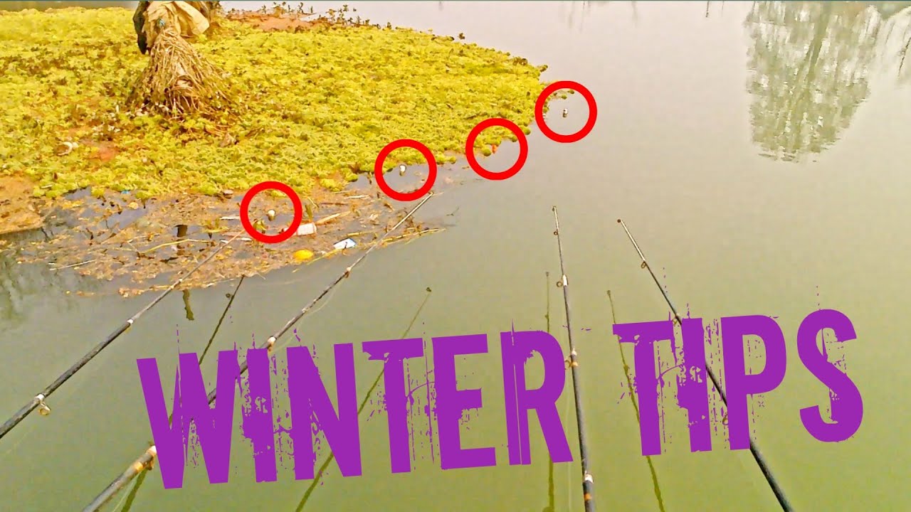 Winter Fishing Tips || Choose The Right Winter Fishing Spot