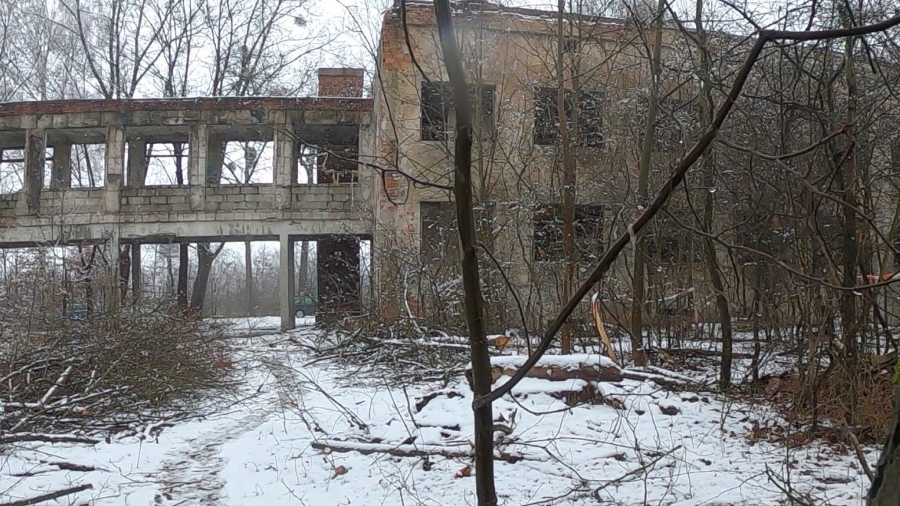 Zimowa Krzywa