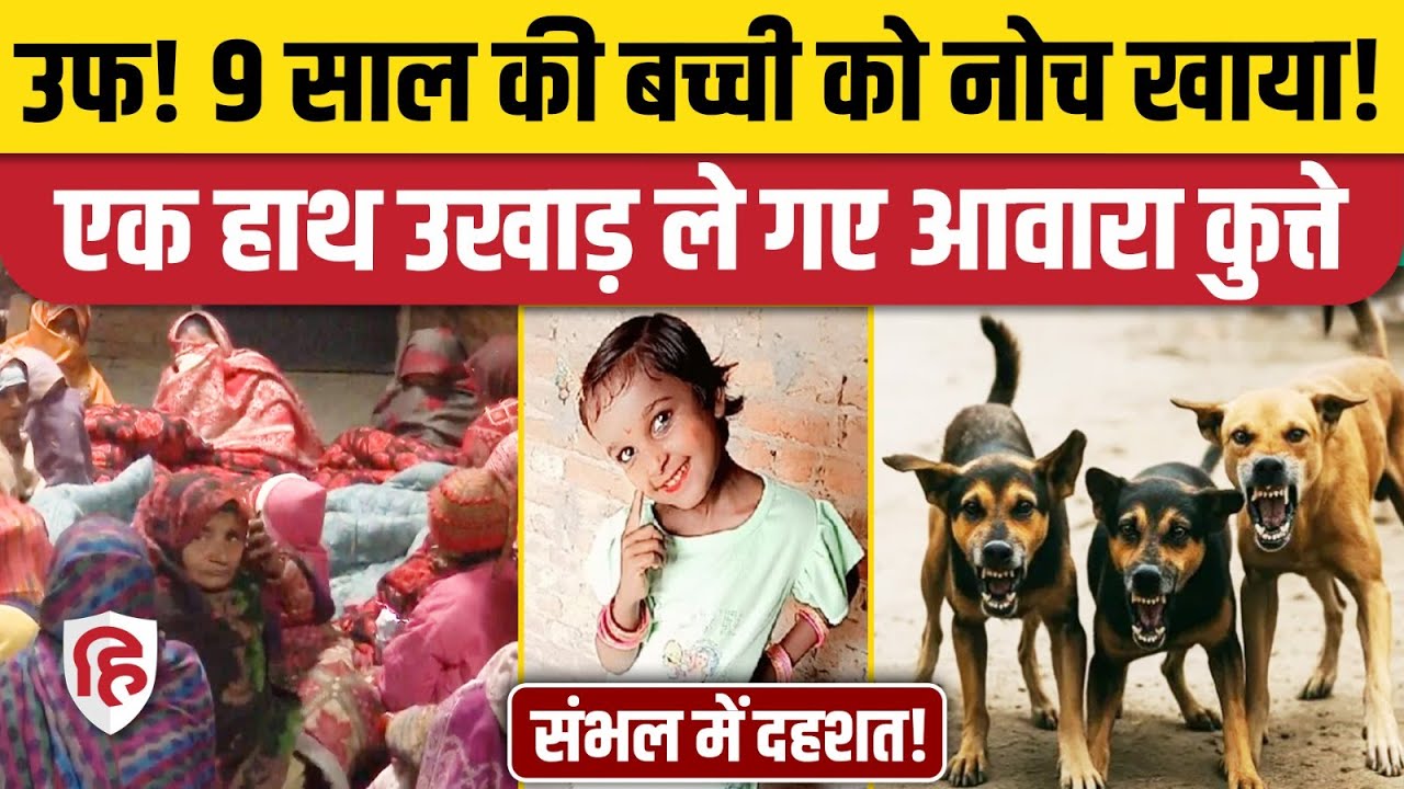 Sambhal News: आवारा कुत्तों के हमले में 9 साल की बच्ची की मौत, खौफनाक मंजर। UP News