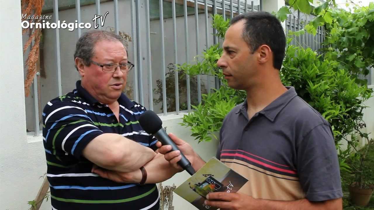 MOTV #11 :: Joaquim Neves, criador de Fauna Europeia