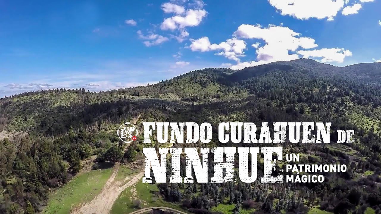 (51) Fundo Curahuén de Ninhue, un patrimonio mágico.