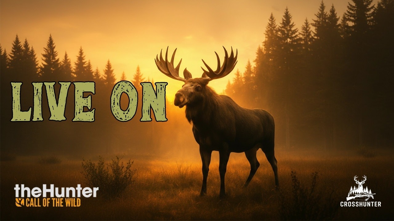 EM BUSCA DO 1 * GREAT DE ALCE NO REVONTULI 452 ABATES