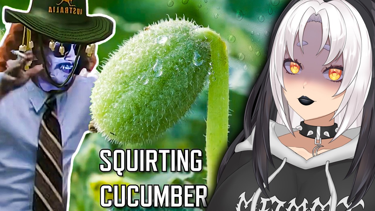 WTF Evolution?! | Vtuber Reacts To MoreParz for first time Ever!