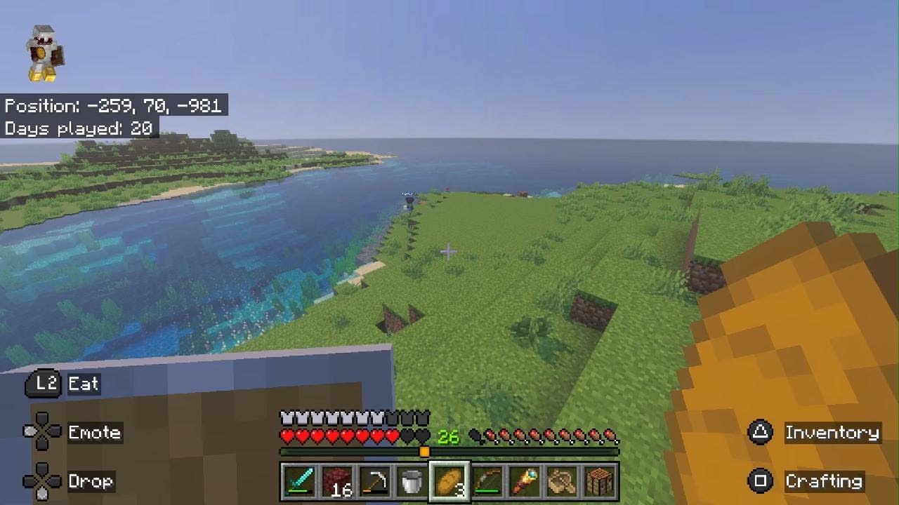 Playing Minecraft with my girl