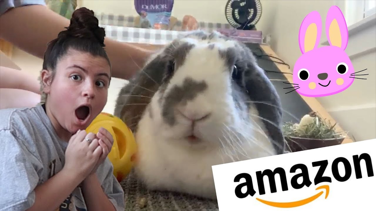 Unboxing Amazon Bunny Products! 🐰