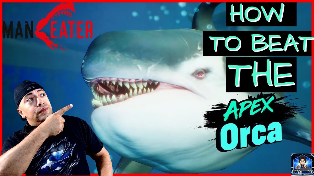 Apex Orca GLITCH!!! Beat Her NOW!