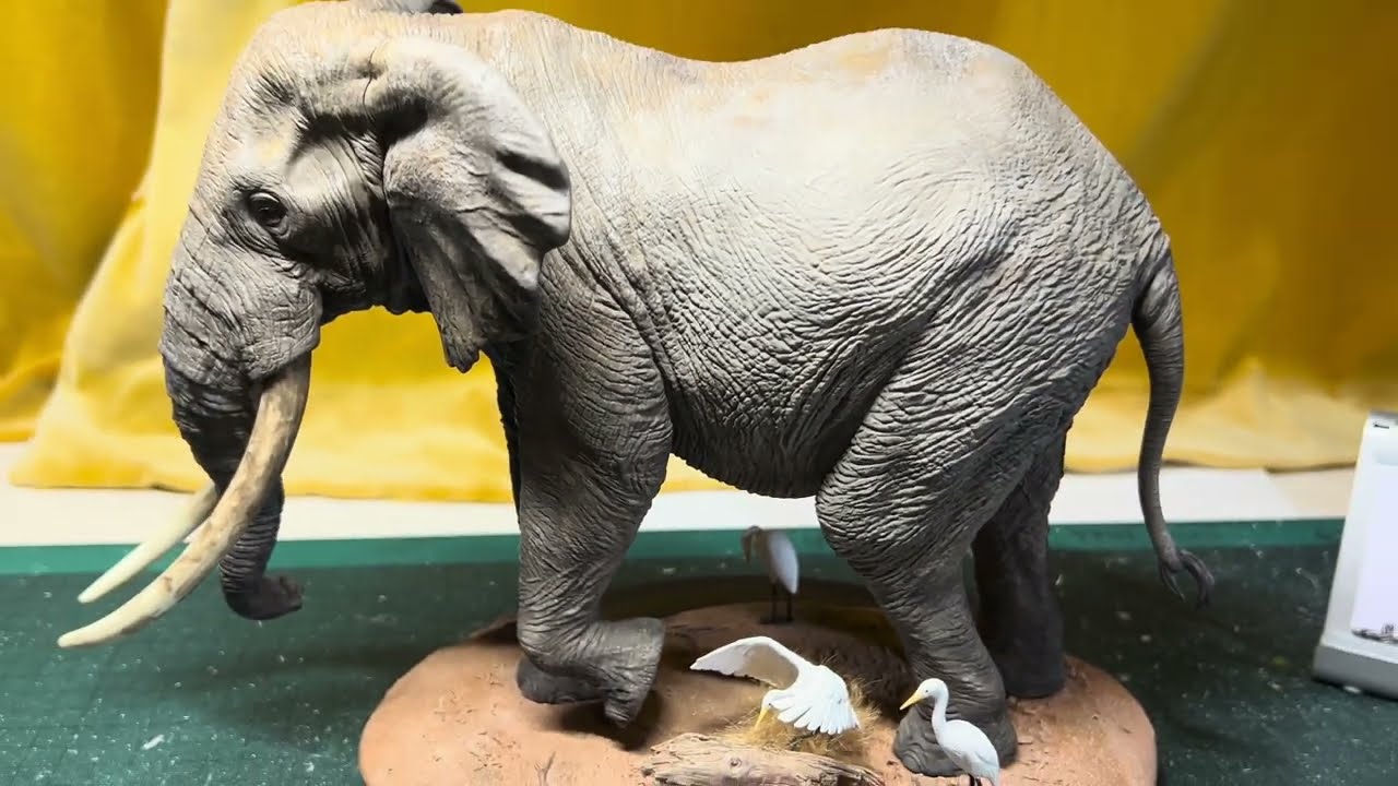 De CLAY STUDIO African Elephant resin model, Loxodonta africana 1/18th scale.