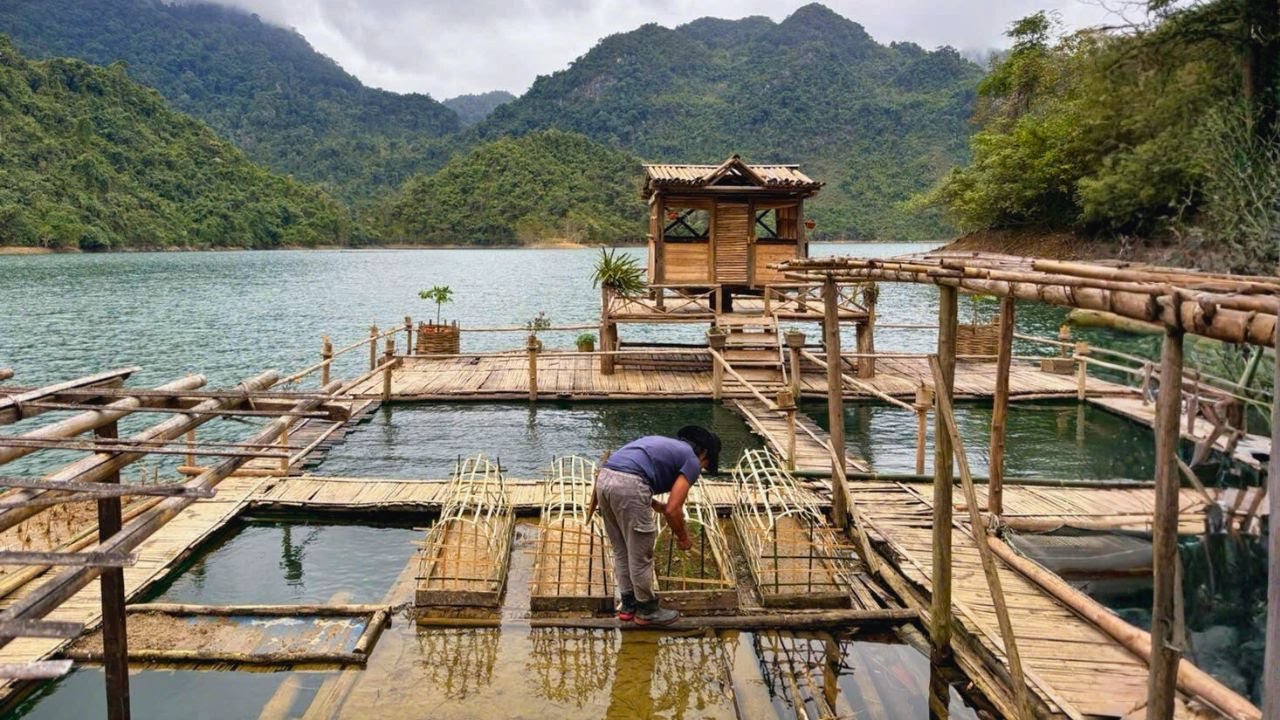 Make kitchen furniture and sow rice seeds. Build a farm on the water.