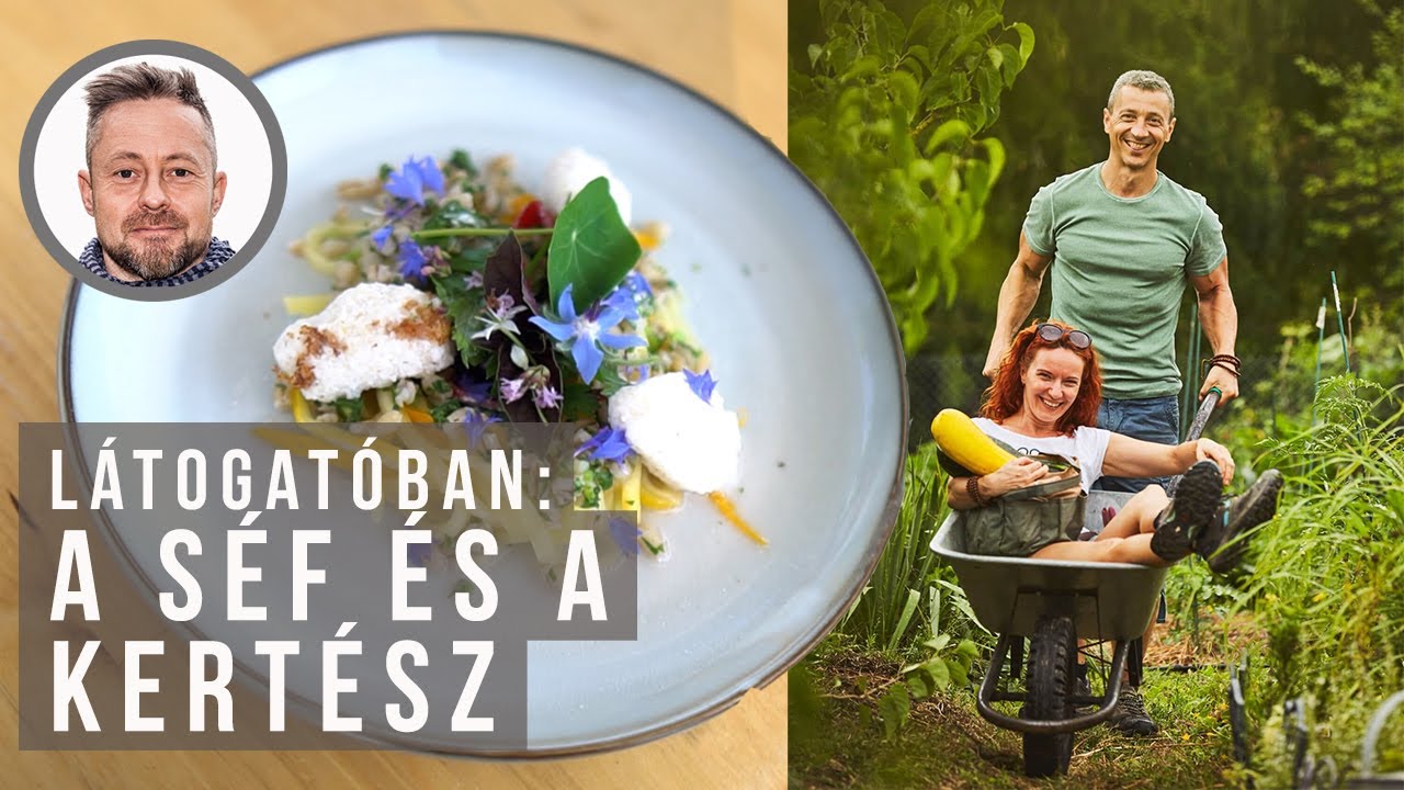 Séf és kertész kertje, ahol vegyszerek nélkül is minden megterem | kert TV