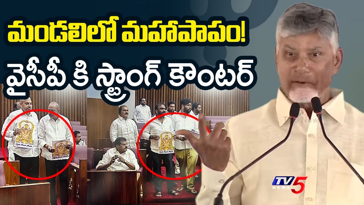 CM Chandrababu Strong Comments on YSRCP | YS Jagan | AP News | TV5 News