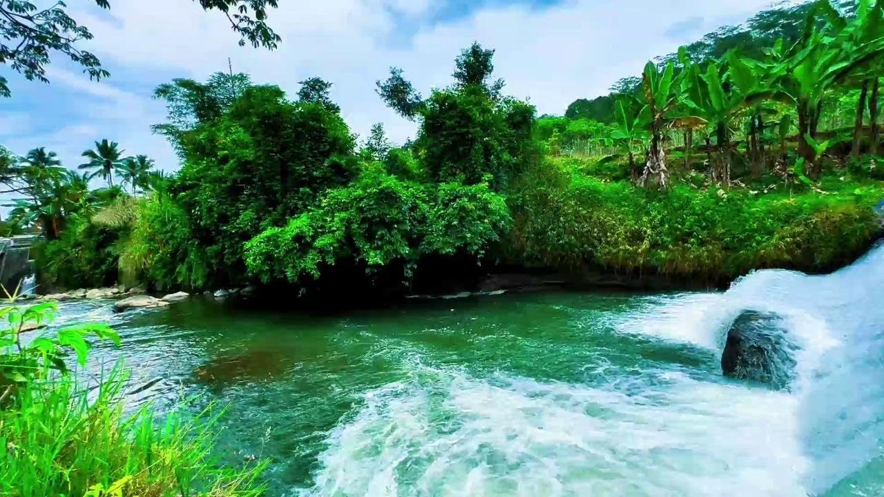 Soothing River Flow for Sleep & Relaxation 💦 | Nature Sounds to Calm the Mind