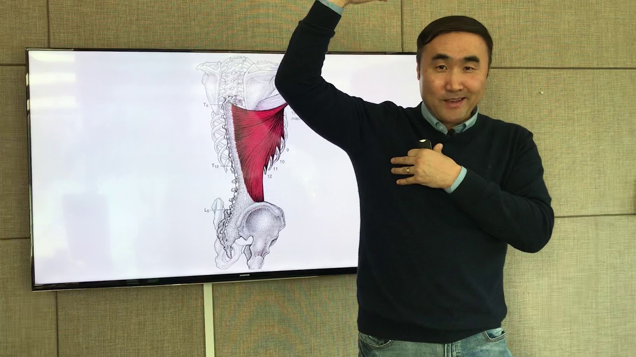 [홍정기교수고급기능해부학] 광배근과 대원근