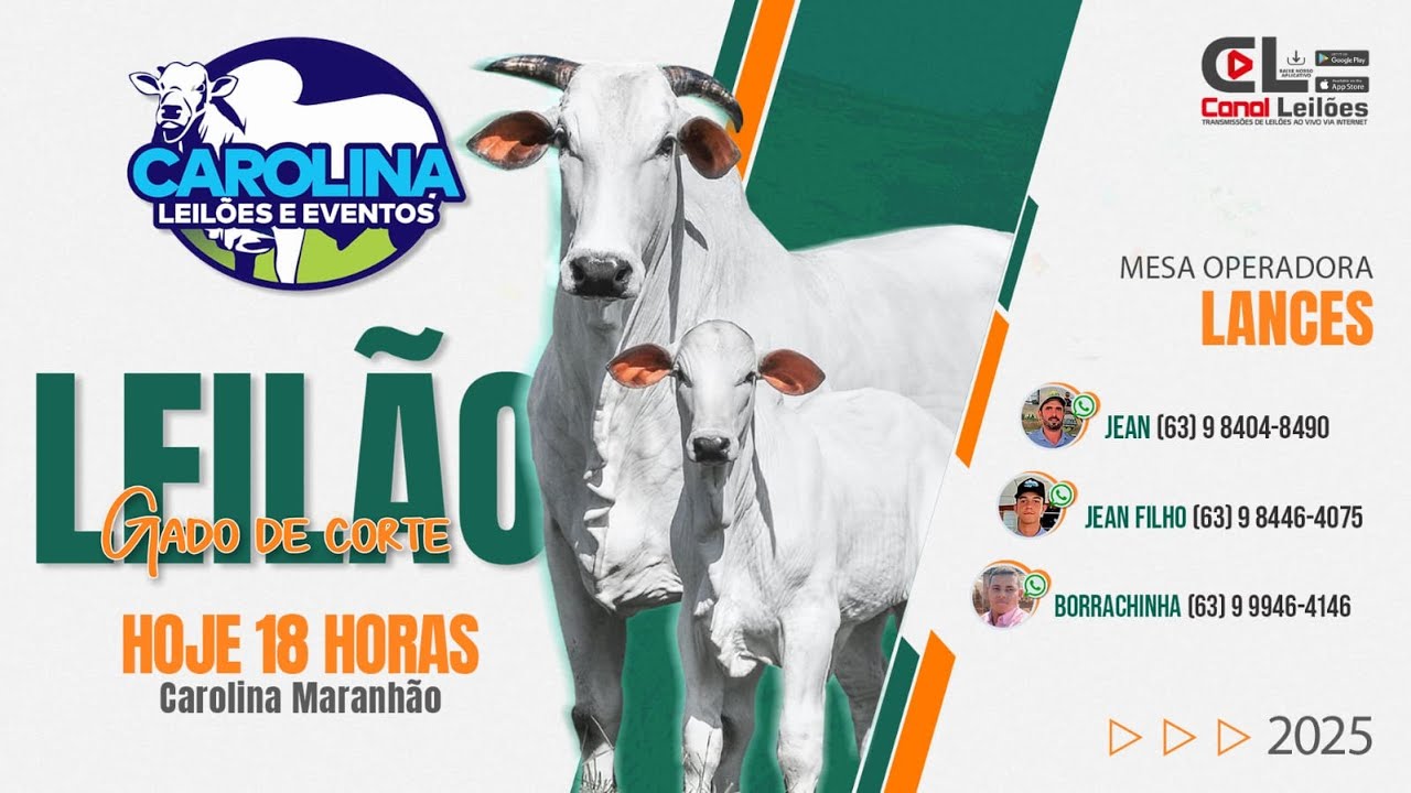 Canalleiloes.com | LEIL&Atilde;O ESPECIAL CARGA FECHADA CAROLINA LEIL&Otilde;ES | CAROLINA-MA 17/01/2026