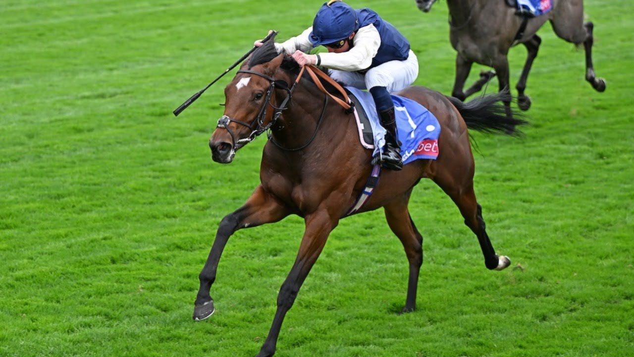 ROYAL FIXATION impresses in 2025 Lowther Stakes