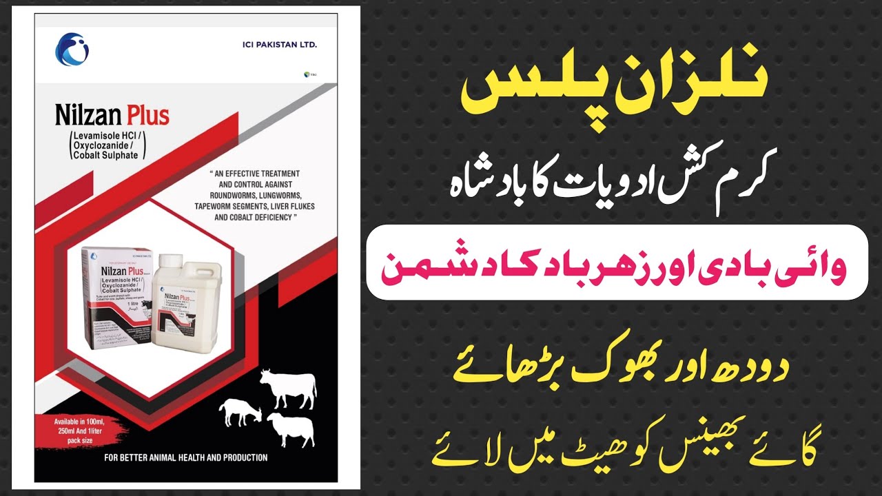 Nilzan Plus - Deworming کیسے کروائیں | Nilzan Se وائی بادی اور میٹھا زہر ختم | Best Dewormers