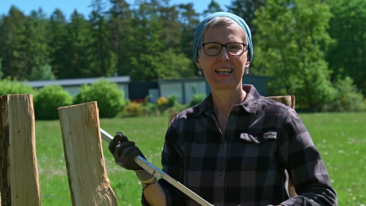 Ich baue eine TOTHOLZHECKE | „Gabis Garten“ mit Gabi Pratz