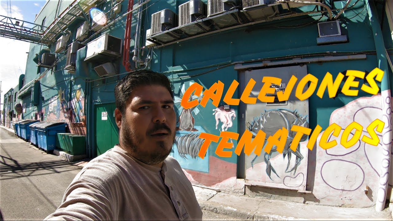 Callejones tem&aacute;ticos de Ciudad Obreg&oacute;n‼ 😱