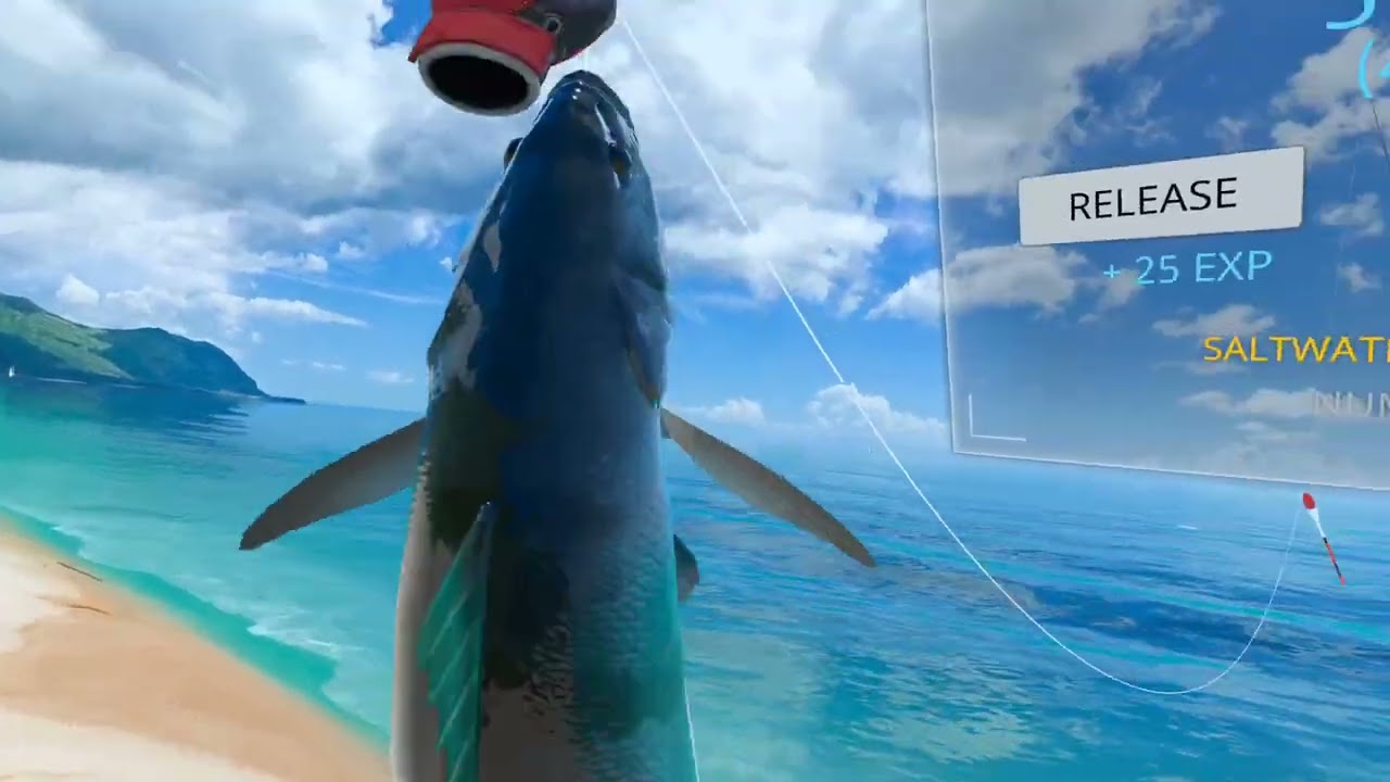 Meta Quest 3 - Real VR Fishing - Hard Difficulty Gameplay