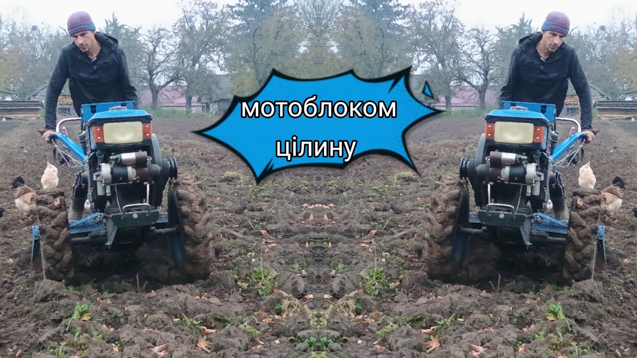Фрезерування мотоблоком цілини. Мотоблок сила 💪. Робота на ура.#сільськегосподарство