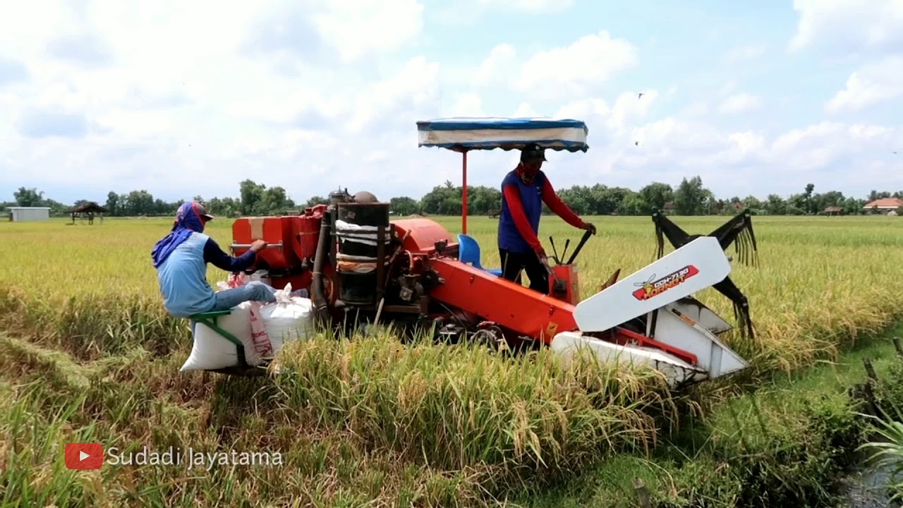 MESIN PANEN PADI CROWN CCH 7130 HORNET