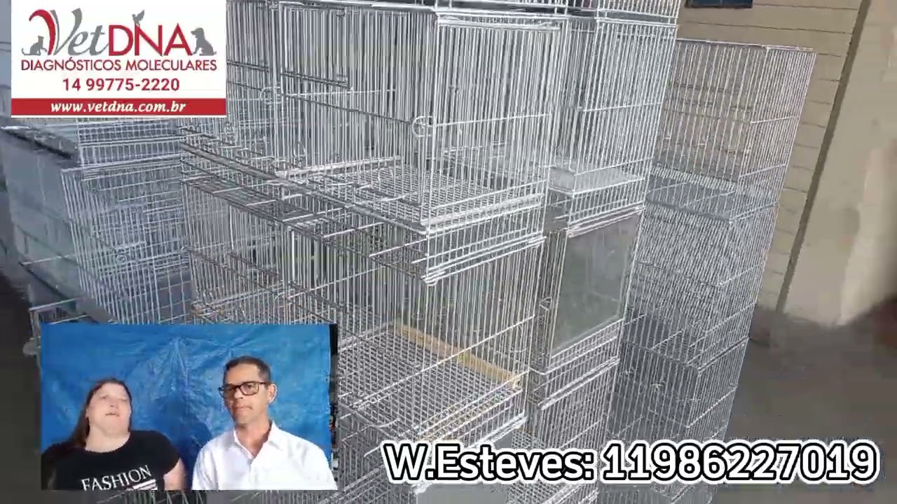 gaiolas criadeiras onde comprar fabrica de gaiolas