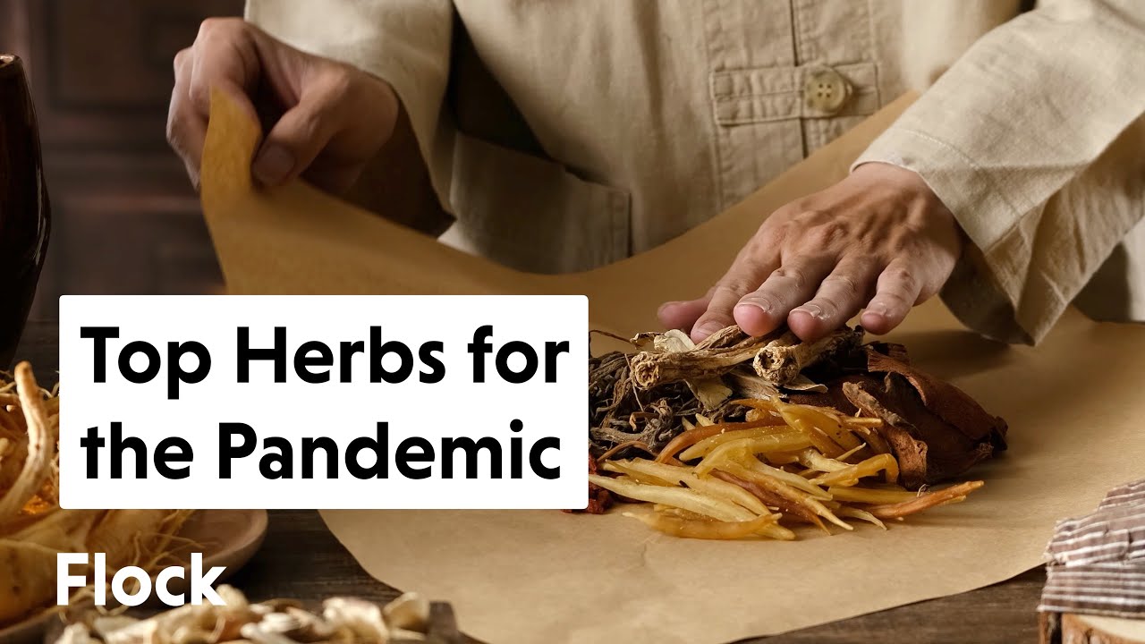 MEDICINAL HERBS for VIRUSES (What CHINA & INDIA Recommend During the P@NDEMIC) — Ep. 143