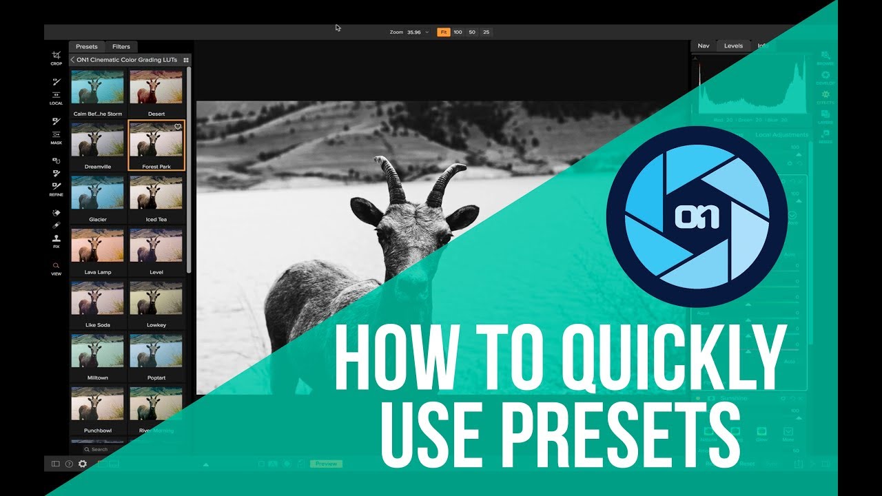 How to Quickly Use Presets - ON1 Photo RAW