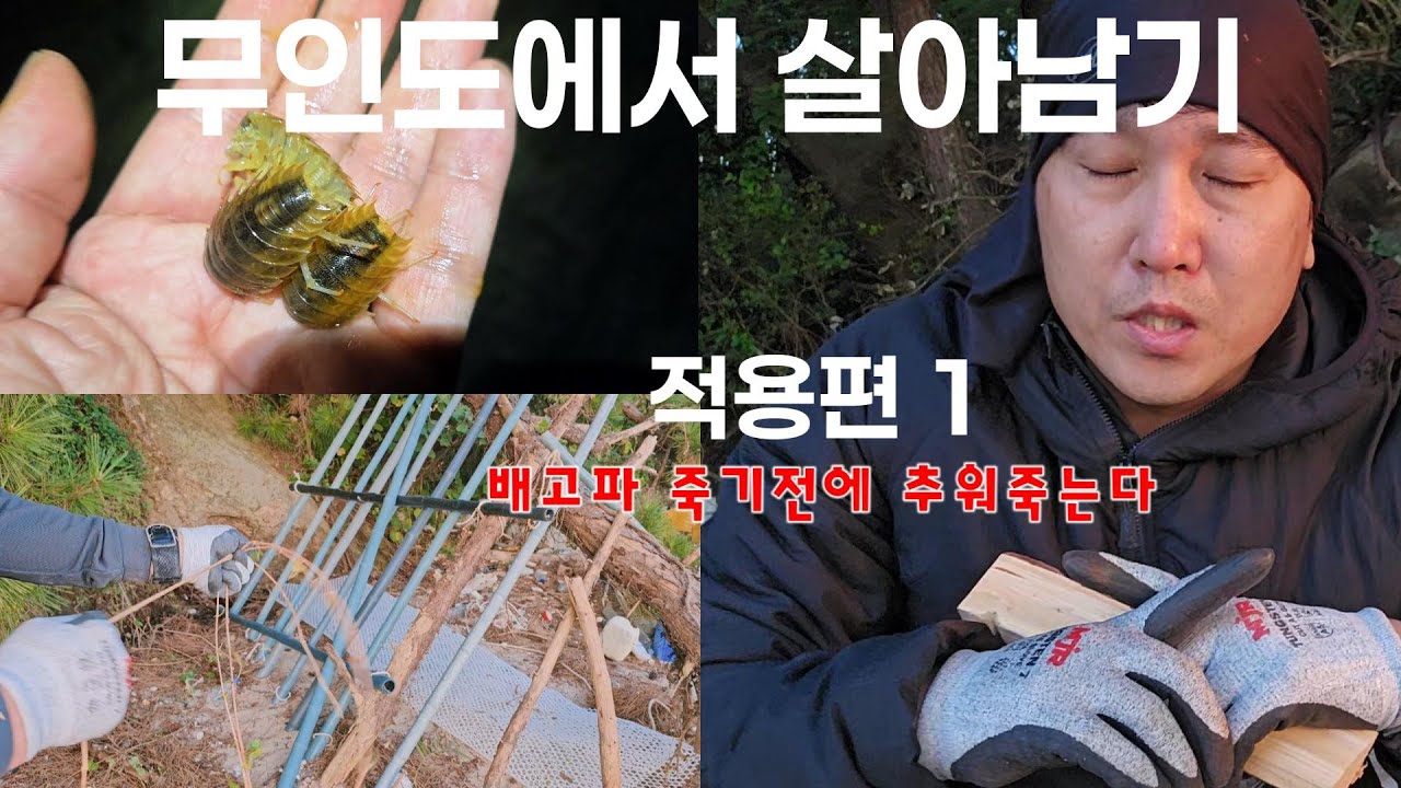 [생존학교] 무인도에서 살아남기 l 적용편 1